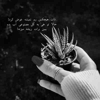 آهنگ تو منو عاشق کردی ول کردی تو دستای این زمونه وای به حال دل من دیوونه