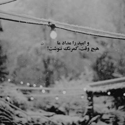 آهنگ ما از این شهر غریبه بی تفاوت کوچ کردیم