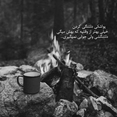 آهنگ دل دیوونمو میبری هر دم تو شدی دوای دردم