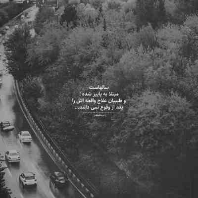 آهنگ مثل تو نه شبیه تو تو زندگیم کی میاد دل کندن از تو که خود قلب منی دل میخواد