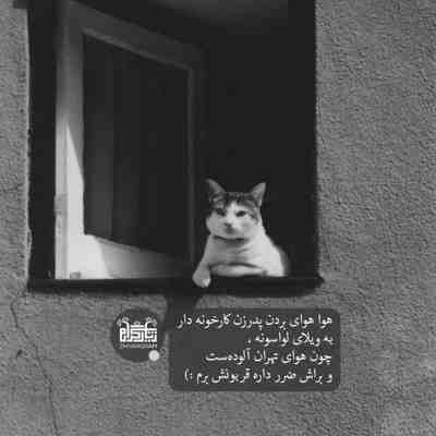 آهنگ آخه جنگل موی تورو مگه کی داره غیر خودت نفسم منو ول نکنی توی دنیای سردی که بی تو