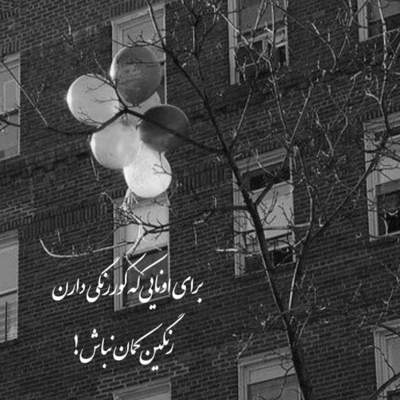 آهنگ از تو میخواهم خودت را مثل باران از بهار