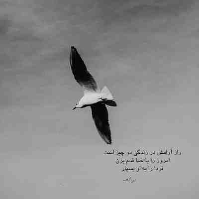 آهنگ دنیای من با عشق درگیره عشقی که تو نباشی میمیره عشقی که تو دست تو گل داده