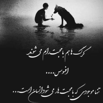 آهنگ هرچی‌ گفتم نرو واسه تو فرقی‌ نکرد