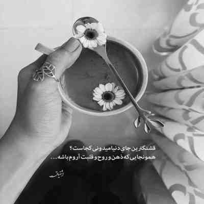 آهنگ صدای خنده های تو میگه باید برای تو جون دادش بگو شبیه تو دیده کی