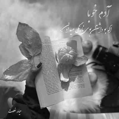 آهنگ مگه عاشق من آسمون ‌جل نبودی چرا پیش قدم واسه صلح نبودی