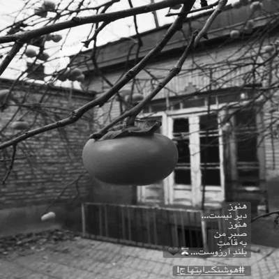 آهنگ برای بودنت اسیر خواهشم