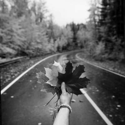 آهنگ تازگیا یه کمی مشکوکیا