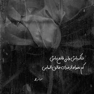 آهنگ دردونه قلب من یکی یدونه من میخوامت