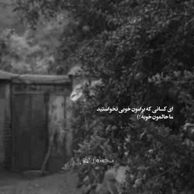 آهنگ امشب زده به سرم که دل تورو ببرم دورت بگردم