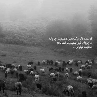 آهنگ نمیدونی چقد دوست دارم دیوونه