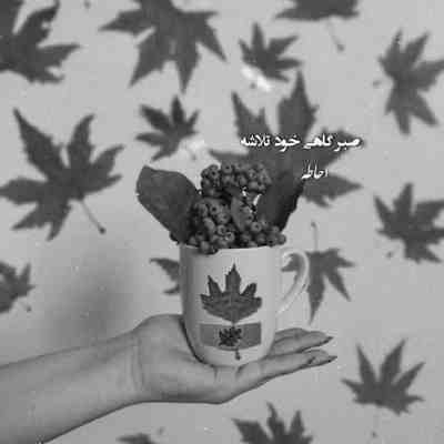 آهنگ زیبای ناز عجب عشقی شد آغاز