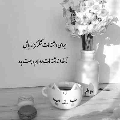 آهنگ یه ضرب المثلی تو با چشای عسلی تو نشونیتو میدونم میگن همین بغلی تو