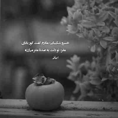 آهنگ یه بارم حرف حرف من باشه چی میشه بیا عطرت تو این خونه بپیچه