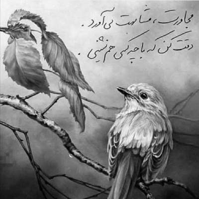 آهنگ عاشقی مثل بغض پروازه عاشق فقط میمیره میبازه