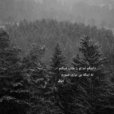 آهنگ از همون اولش خیلی بینمون فرق بود