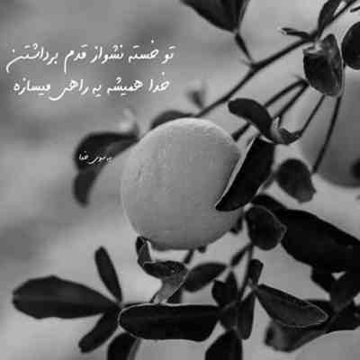 آهنگ بیا تورو میخوام با همه سلولای تنم منکه جز نبودت با هیچی نمیشکنم