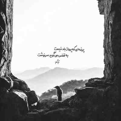 دانلود آهنگ آرون افشار بیاد ارشا اقدسی در برنامه شب‌ آهنگی