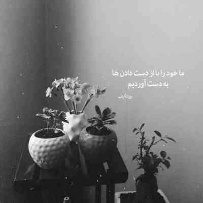 آهنگ بزار سر برم از تو دیگه گیره دلم مگه میشه که نگات به حال دلم بگه نه