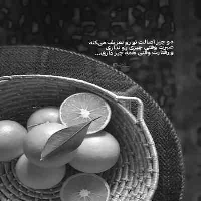 آهنگ این چه جهانی است که نوشیدن می نارواست این چه بهشتی است در آن خوردن گندم خطاست