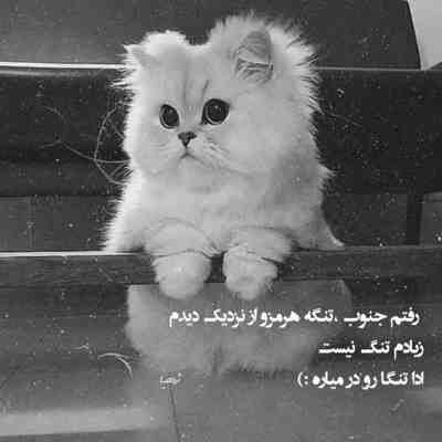 آهنگ بیا چترتو بردار و بریم جون میده امشب دیوونگی