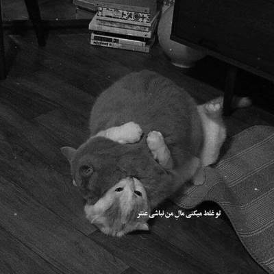 آهنگ تو چجوری میتونی دل بدی بعد دل بکنی