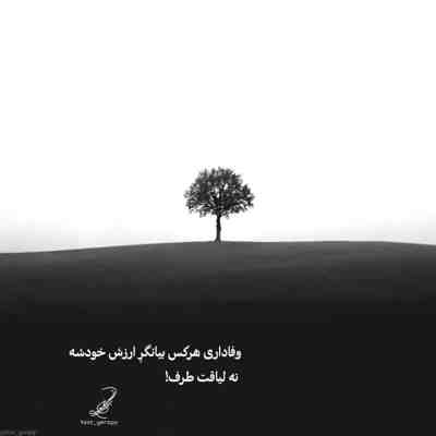 آهنگ غم غلط کرده به تو سر زده مگه من مردم نمیدونی قلب من تو قلب تو حل شد رفت