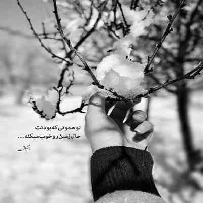 آهنگ آخه گل من اگه بمونی واسه دل من تو همونی که توی خوابم نمیدیدم