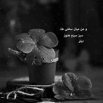 آهنگ قاطی بود عطرت با بوی بارون کسی نبود رو دست دوتامون