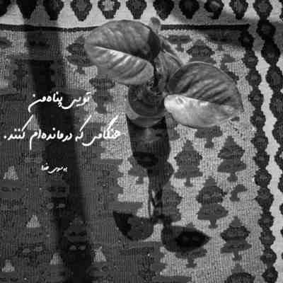 آهنگ حالا چه وقت دیوونگی بود عاشق شدم رفت