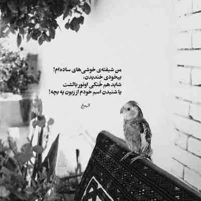 آهنگ کی مثل من به تو پرته حواسش کی مثل تو برام دل نگرونه عشق دلم کجا بودی تا حالا