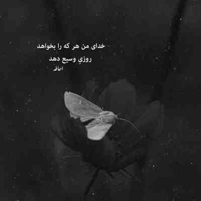 آهنگ چند تا چند تا برات گل بیارم