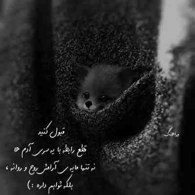 آهنگ هر جای دنیا که بری به تو وفا دارمو چی شد رفتن ضروری شد دلت مشتاق دوری شد