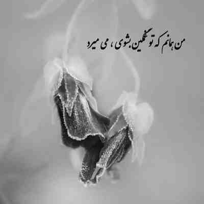 آهنگ میبینی چه تنهام پره اشکه چشمام بیا حال خراب منو دریاب ته خط رسیدم  ببين چی كشيدم