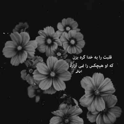 آهنگ کارم به کجا رسیده دیگه نمیخوام هیچکی منو ببینه اینا همه از دوری و درد توئه