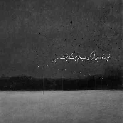 آهنگ ولی خار شدم خار شدم گلمو نبرن خاک شدم تو ریشه بدی مثلا