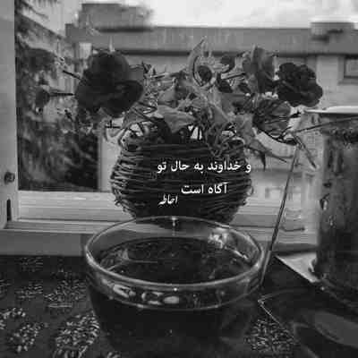 آهنگ تا دلم دیدت پسندیدت خدا اینجوری میخندی من دلم میره آخه مگه داریم