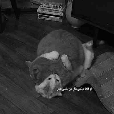 آهنگ بی نقصی خدایی عجب حجب و حیایی تو طلایی