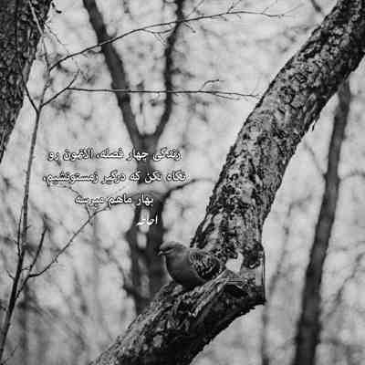 آهنگ یار قدیمی بمون رفیق پا کار صمیمی بمون