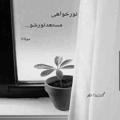 آهنگ قدم قدم کنار تو تو فکر تو بودمو بس تموم دنیا نباشی واسه ی من میشه قفس