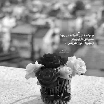 آهنگ دلبر من لجبازه و ناز اندازه میده یک رقم دروغ میگه دروغاش مزه میده