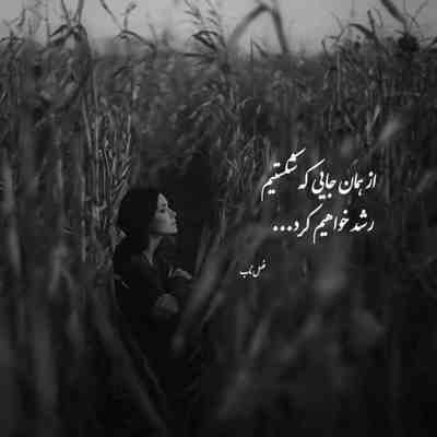 آهنگ چشمات مثل یه نقاشی نابه روی دیوار دلم قابه