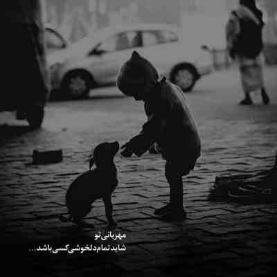 آهنگ مهربون جون من گل توی گلدون من دیوونه خندون من تو که منو کشتی