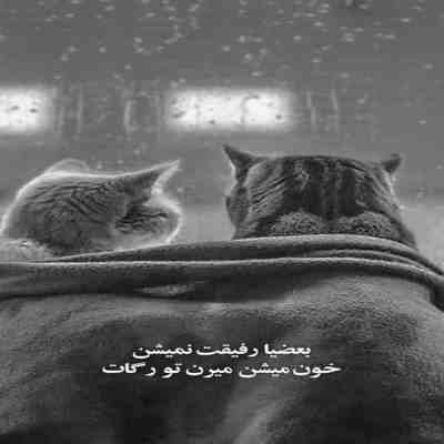 آهنگ میخوام از رو ببرم هرکی که بود دور و برم