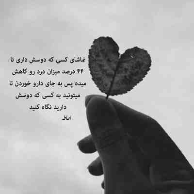 آهنگ اگه میتونستم تورو میچیدم رز سفید من