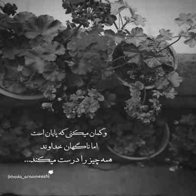 آهنگ شاخه نبات من دیگه برات تا بهار نمیمونم