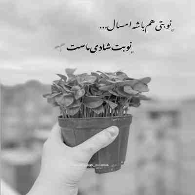 آهنگ دلی دلی دلی دوست دارمت