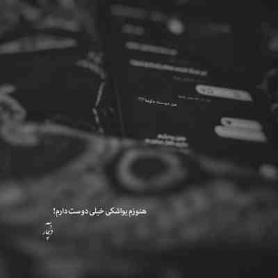 آهنگ نه میشی لیلی و باور کنی تو جنونمو نه