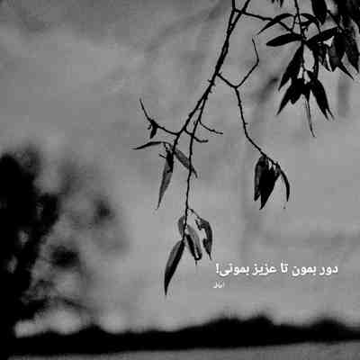 آهنگ تو ضربان قلب من شدی چه خوبه که اومدی مال من شدی