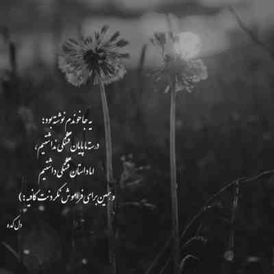 آهنگ خودمو زدم من خودمو زدم که اگه نمیزدم باید عالمو میزدم